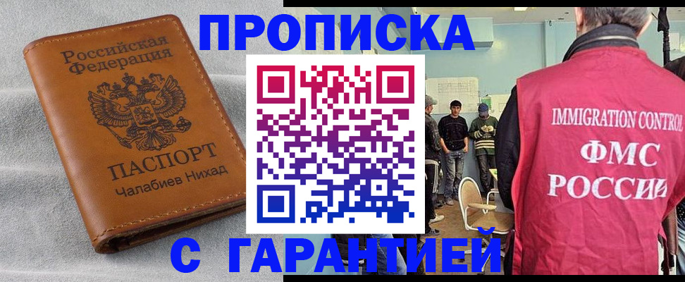 прописка в Борзе